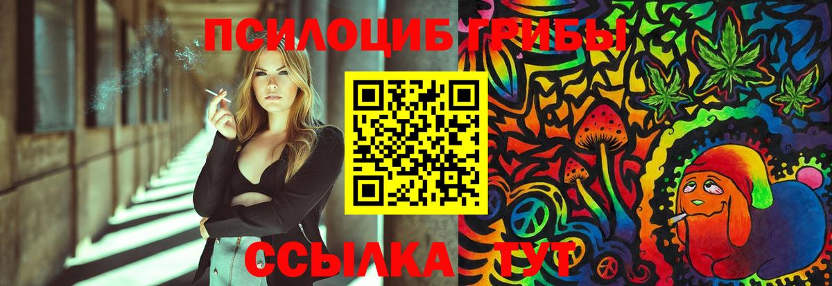 Галлюциногенные грибы Psilocybine cubensis  Вход с VPN  Королёв 