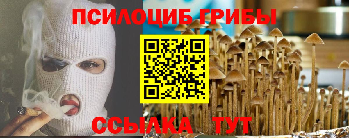 Псилоцибиновые грибы прущие грибы Королёв